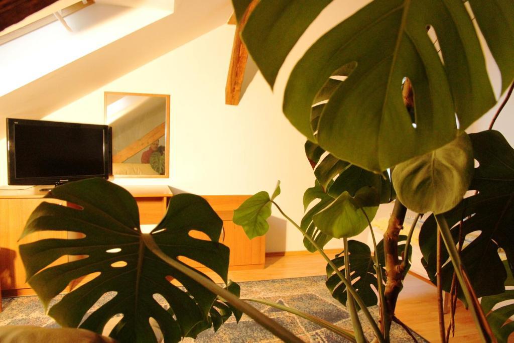 Penzion Brahama Prešov Habitación foto