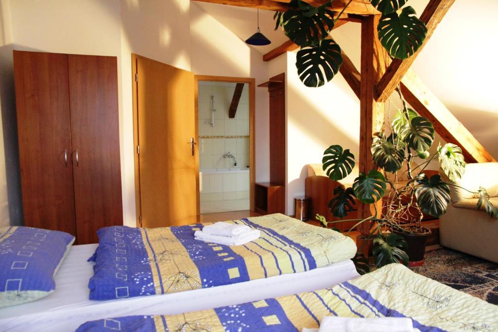 Penzion Brahama Prešov Habitación foto